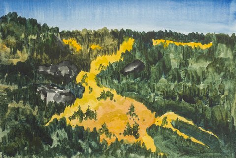 River of Golden Aspen, Colorado