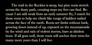 screen shot 2019-01-07 at 4.16.49 pm